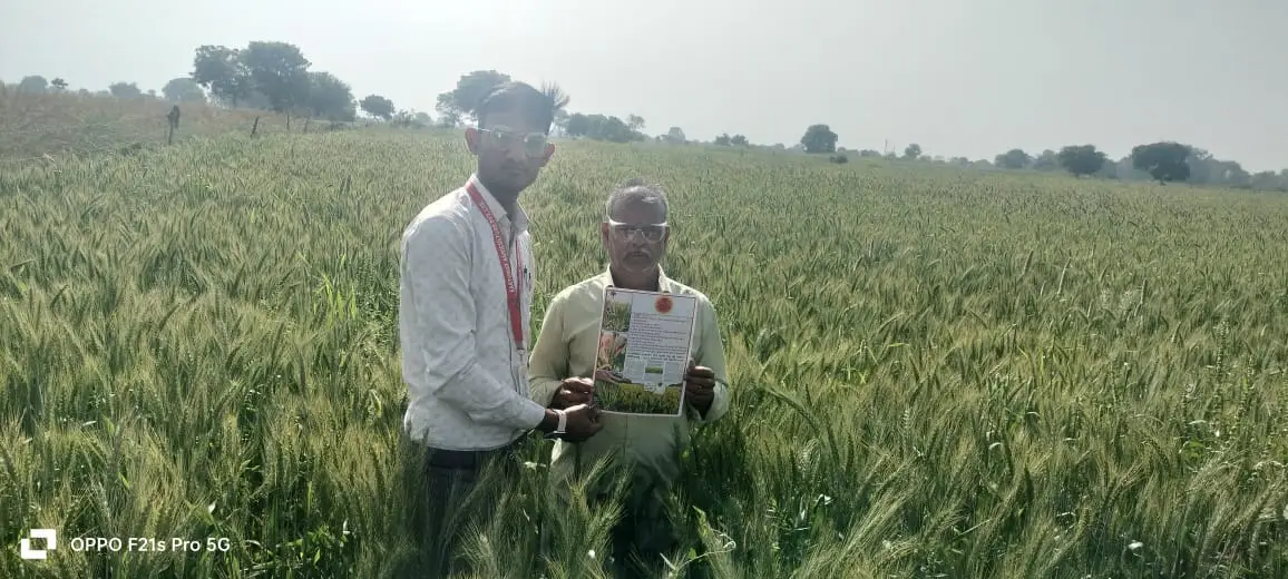 whatsapp image 2025 08 11 at 10.34.45 pm