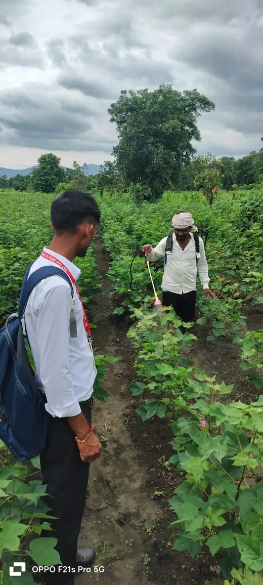 whatsapp image 2025 08 11 at 10.34.49 pm (1)