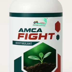Amca Fight
