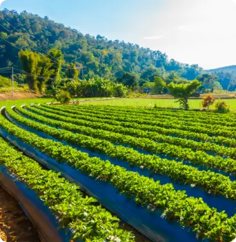 The Farming Season post thumbnail